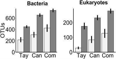 Comparison of Microbial Communities in the Sediments and Water Columns of Frozen Cryoconite Holes in the McMurdo Dry Valleys, Antarctica